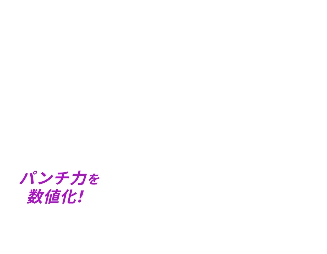 パンチ力を数値化！